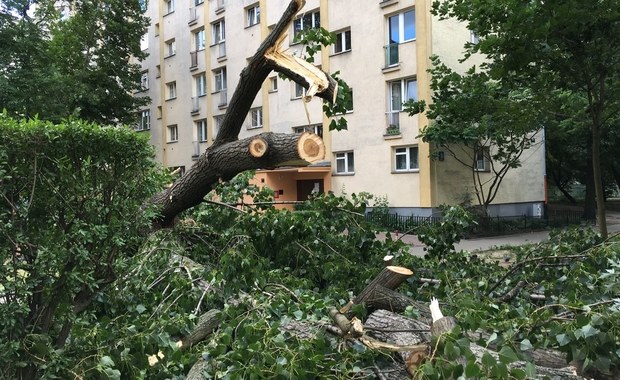 Polska po nawałnicach: 4 osoby zginęły, prawie 30 zostało rannych. Drzewa spadały i niszczyły auta