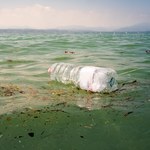 Polska podpisała ważną deklarację. Chodzi o zanieczyszczenie plastikiem