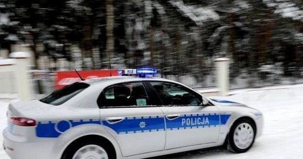 Polska policja ma jedyne na świecie alfy romeo 159 ze stalowymi felgami /Policja