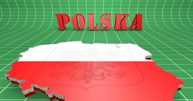 Polska ponownie zostanie "zieloną wyspą" na gospodarczej mapie Europy /&copy;123RF/PICSEL