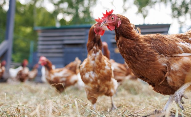 Polska poparła nową unijną umowę handlową z Ukrainą. Kto był przeciw?