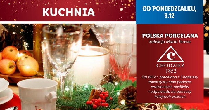 Polska porcelana z Chodzieży w Lidlu! /Lidl /INTERIA.PL