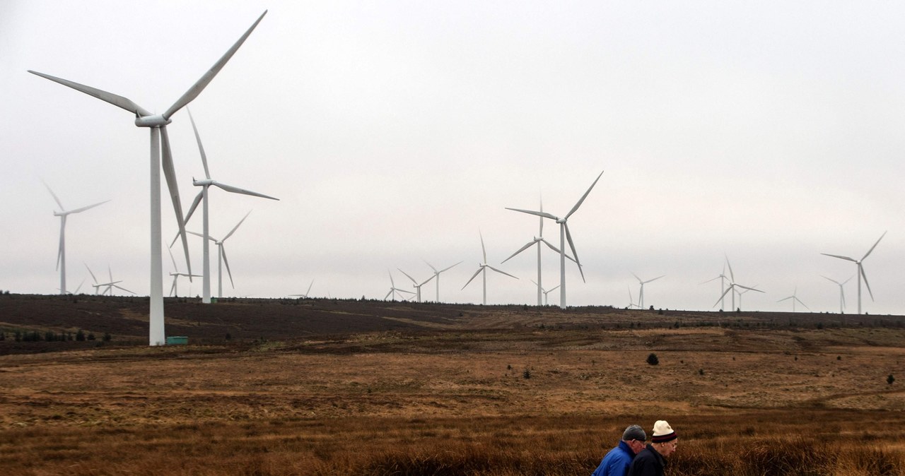 Polska potrzebuje czystej energii z OZE /AFP