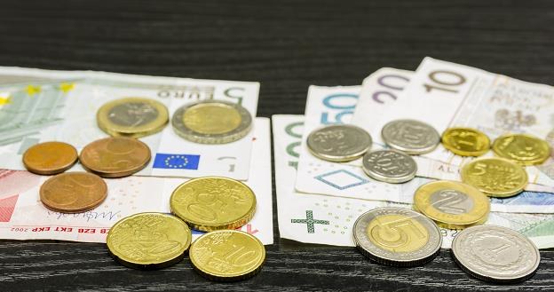 Polska powinna jak najszybciej wejść do strefy euro? /&copy;123RF/PICSEL