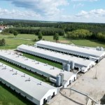 Polska produkuje najwięcej drobiu w UE. Branża z niepokojem patrzy na Chiny