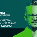 Polska puszcza to światowy unikat. Mamy bezcenne relikty