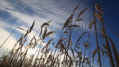 Polska rozważy odwołanie się od gigantycznej kary nałożonej przez KE