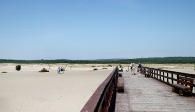 „Polska Sahara" godzinę drogi od Krakowa. Nowa ścieżka rowerowa i darmowe punkty widokowe 