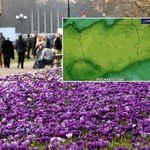 Polska skąpana w słońcu. Inaczej będzie powyżej 1300 metrów