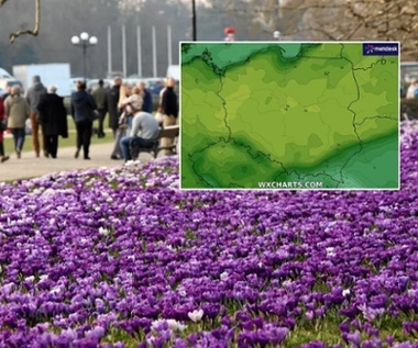 Polska skąpana w słońcu. Inaczej będzie powyżej 1300 metrów