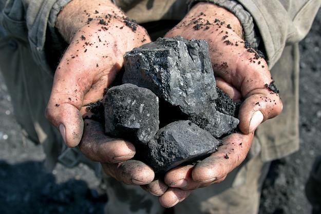 Polska sprowadza miliony ton węgla z Rosji /PAP
