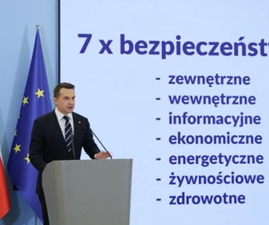 Polska stawia na bezpieczeństwo ekonomiczne. "Musimy odejść od Europy zakazów"