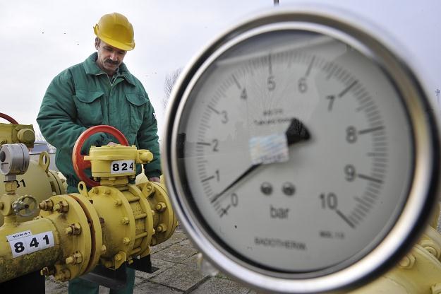 Polska też płaci dużo za gaz /AFP