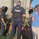 Polska TikTokerka oskarżana o zoofilię. Odebrano jej zwierzęta