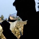 Polska Toskania stawia na promocję lokalnego wina. Stworzy ogromną winnicę