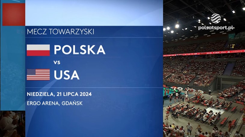 Polska - USA. Skrót meczu. WIDEO