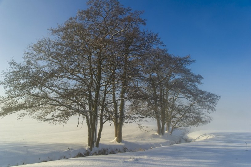 Polska w okowach mrozu. Antycyklon Dunia namiesza w pogodzie