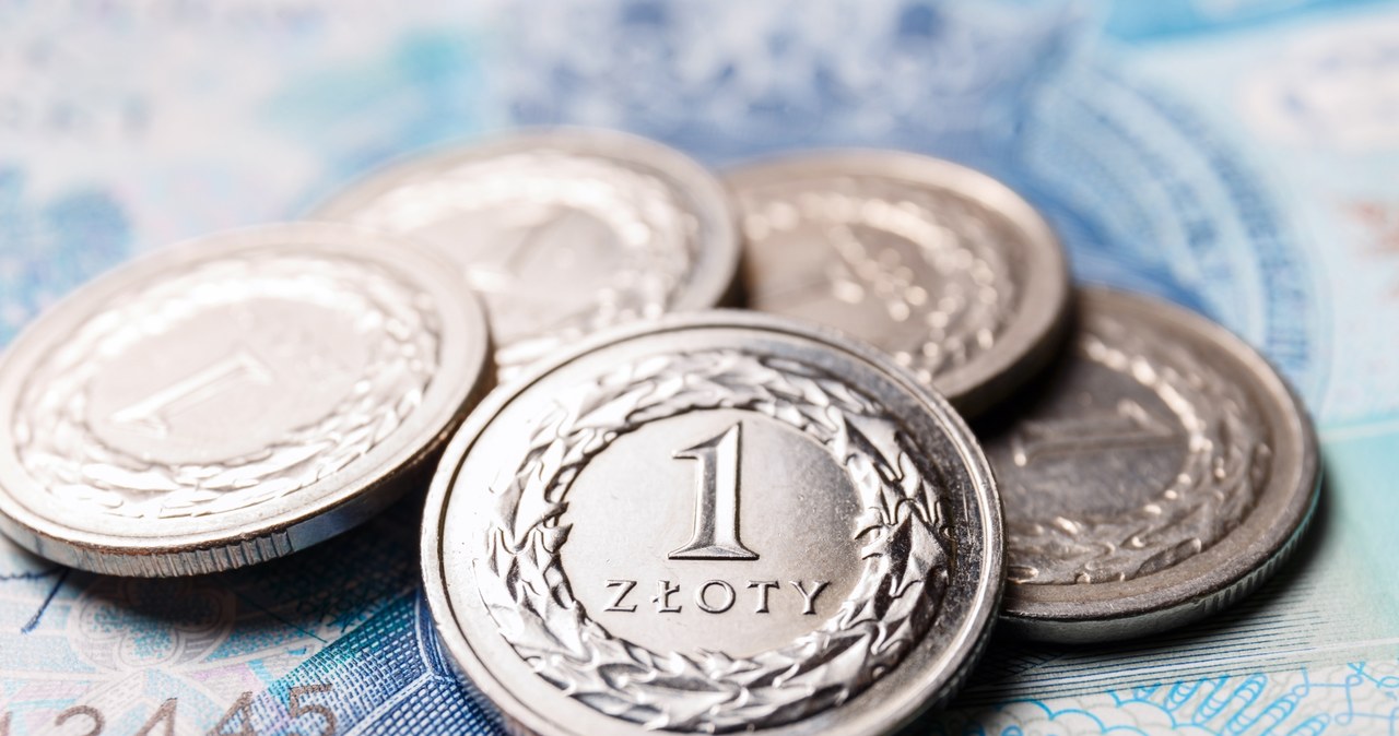 Polska waluta jest znów bardzo słaba /123RF/PICSEL