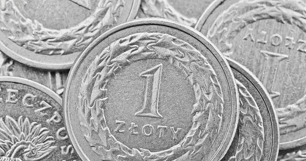 Polska waluta może być inwestycyjnym złotym strzałem /&copy;123RF/PICSEL