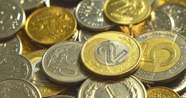 Polska waluta nieco się osłabia /&copy;123RF/PICSEL