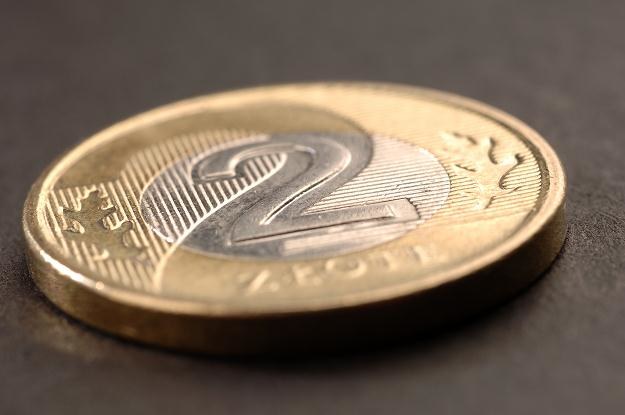 Polska waluta umacnia się pod wpływem wypowiedzi członków RPP /&copy; Bauer