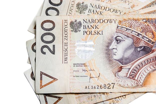 Polska waluta umocniła się w relacji do euro i szwajcarskiego franka /&copy;123RF/PICSEL