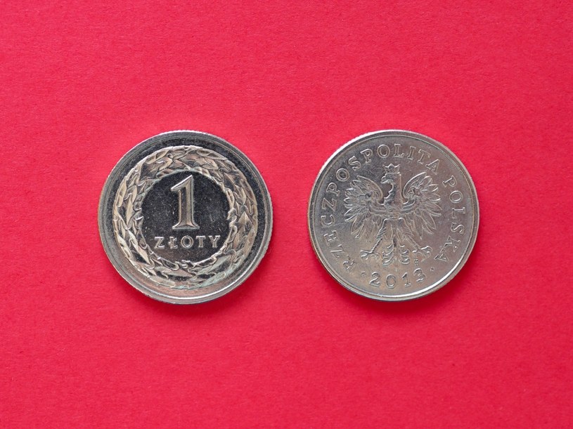 Polska waluta w lutym 1919 roku czekała na nową nazwę. Mało brakowało, a płacilibyśmy "lechami" /123RF/PICSEL