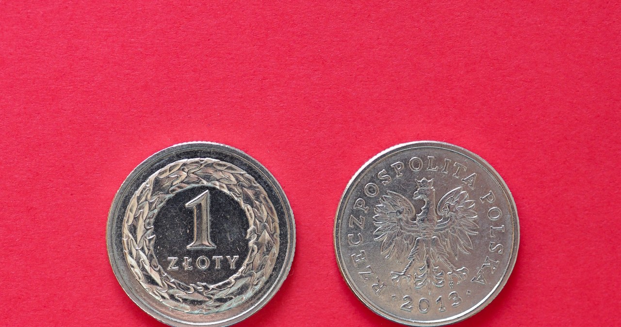 Polska waluta w lutym 1919 roku czekała na nową nazwę. Mało brakowało, a płacilibyśmy "lechami" /123RF/PICSEL