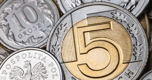 Polska waluta w najbliższych tygodniach powinna się wzmacniać wobec euro i dolara /&copy;123RF/PICSEL