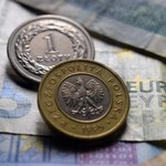 Polska waluta w piątek rano stabilna