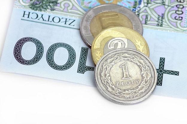 Polska waluta zyskała w środę na wartości /&copy;123RF/PICSEL