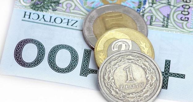 Polska waluta zyskała w środę na wartości /&copy;123RF/PICSEL
