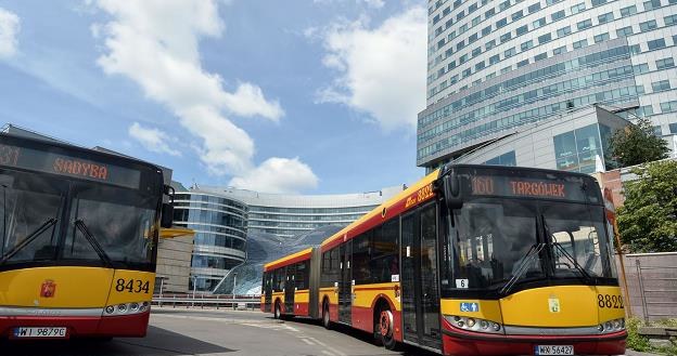 Polska ważnym graczem na rynku autobusów elektrycznych /AFP