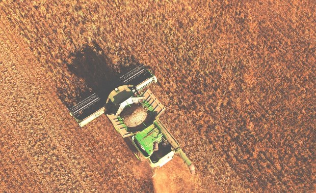 Polska, Węgry i Słowacja. Kto dołączy do zakazu importu żywności z Ukrainy?