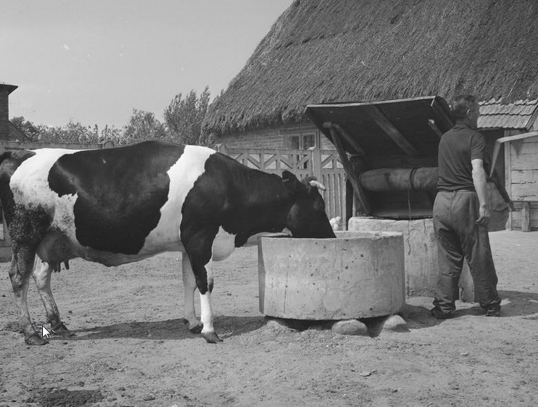 Polska wieś w latach 70. zeszłego stulecia /Z archiwum Narodowego Archiwum Cyfrowego