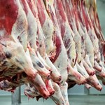 Polska wołowina z salmonellą. Czechy wprowadzają specjalne kontrole