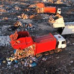 Polska wywozi więcej odpadów niż importuje. Pierwszy raz w historii