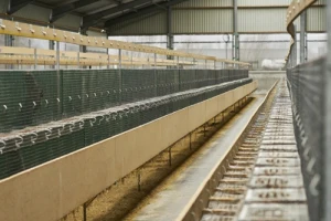 Polska zamyka branżę futrzarską. Jedno zwierzę wyjątkiem