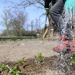 Polska zatrzymuje za mało wody. „To może być susza stulecia”