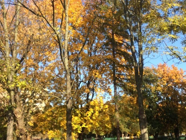 Polska złota jesień w pełni /arch. RMF