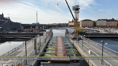 Polska żmija w sercu Sztokholmu. Będzie nową atrakcją
