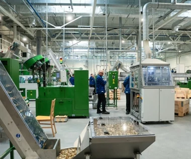 Polska zwiększy produkcję amunicji dużego kalibru. 2,4 mld zł na fabryki 