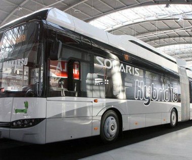 Polski autobus pojedzie bez kierowcy!