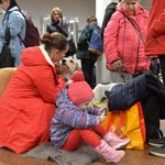 Polski Czerwony Krzyż przygotowany na kolejną falę uchodźców