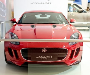 Polski diler luksusowych aut ogłasza upadłość. Nie dogadał się z Jaguarem