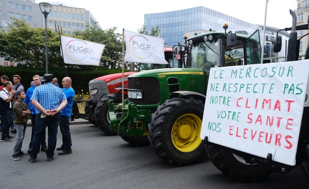 Polski europoseł chce powstrzymać umowę z Mercosur. "Szanse wynoszą pół na pół"