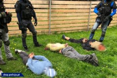 Polski gang uprawiał w Czechach marihuanę