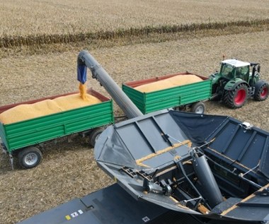 Polski kłopot z ukraińską konkurencją rolną. Będą dopłaty dla rolników?