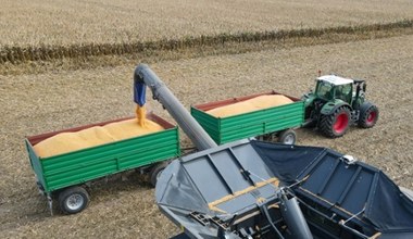 Polski kłopot z ukraińską konkurencją rolną. Będą dopłaty dla rolników?