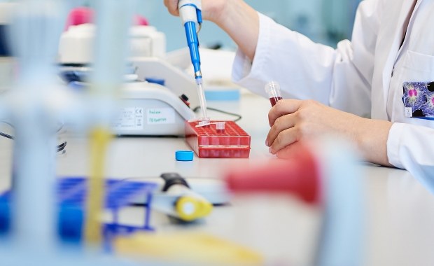 Polski krok w drodze do leku przeciwko wirusowi Zika 